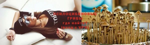 мяу мяу кристалл Верея
