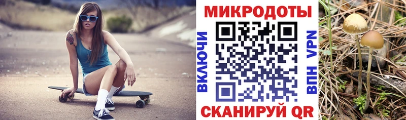 Псилоцибиновые грибы мицелий  Бузулук 