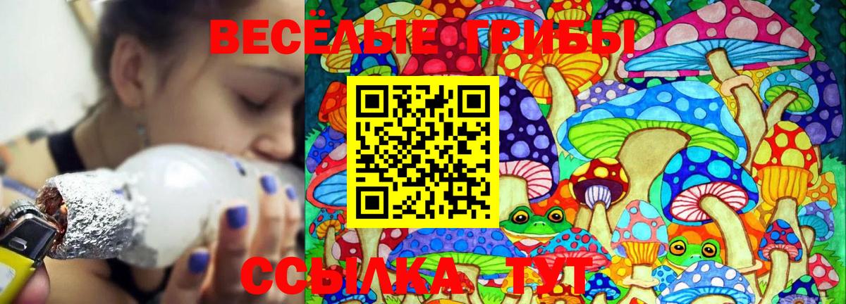 Галлюциногенные грибы Psilocybine cubensis  Бузулук 