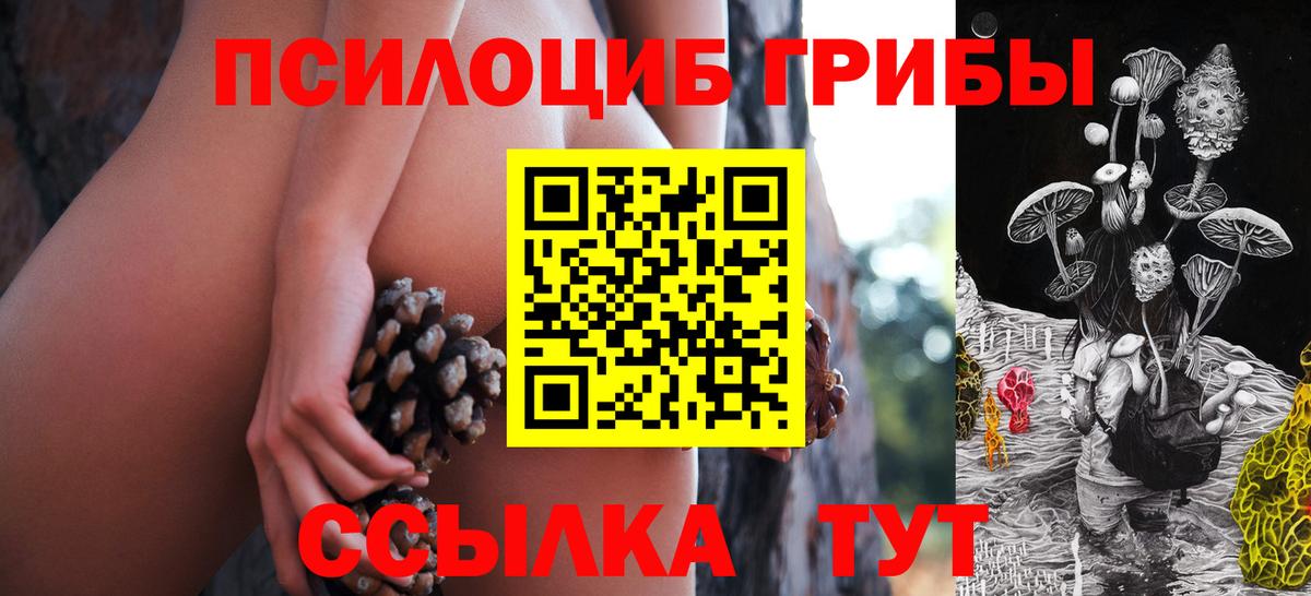 Бузулук  Галлюциногенные грибы мицелий  Вход с VPN 